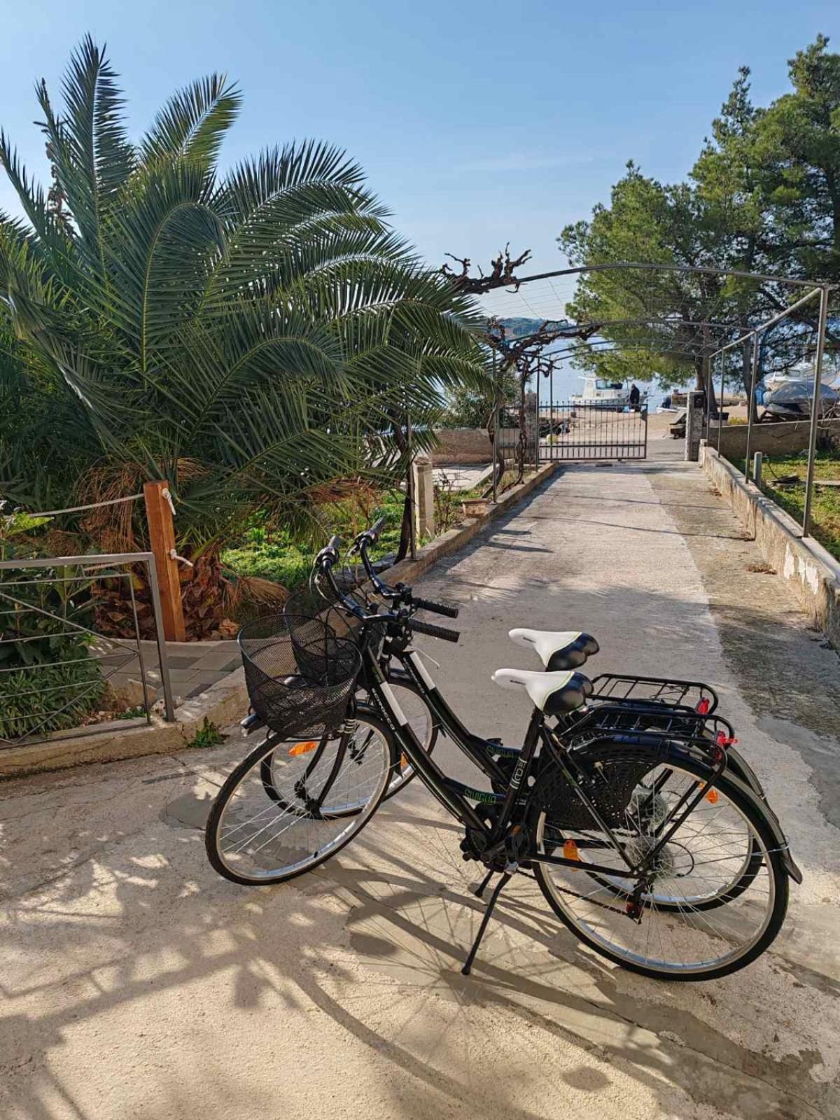 Apartments Alisa Brodarica  Ngoại thất bức ảnh